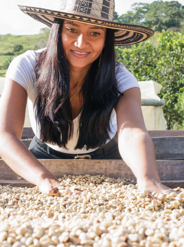 expreso_prueba_1